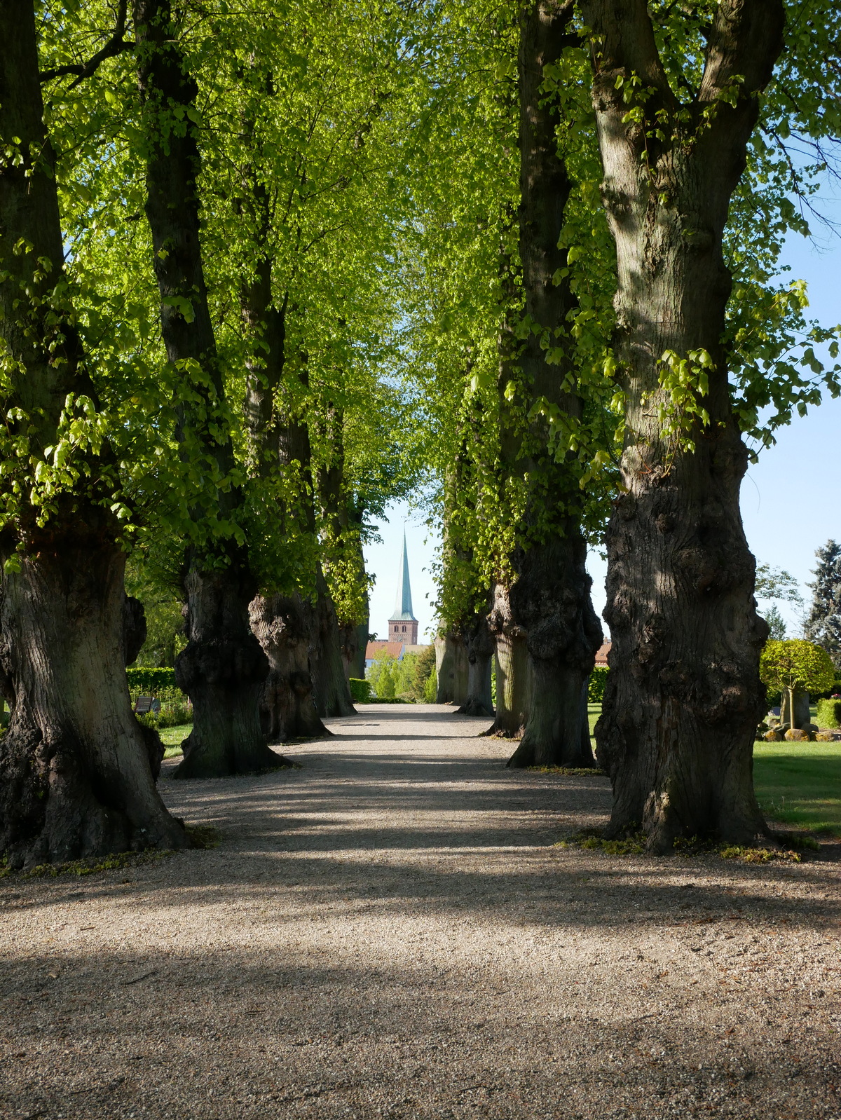 Nyborg Kirkegård